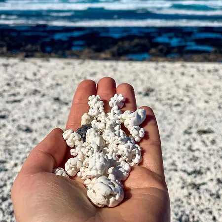 Lägenhet El With Two Bedrooms