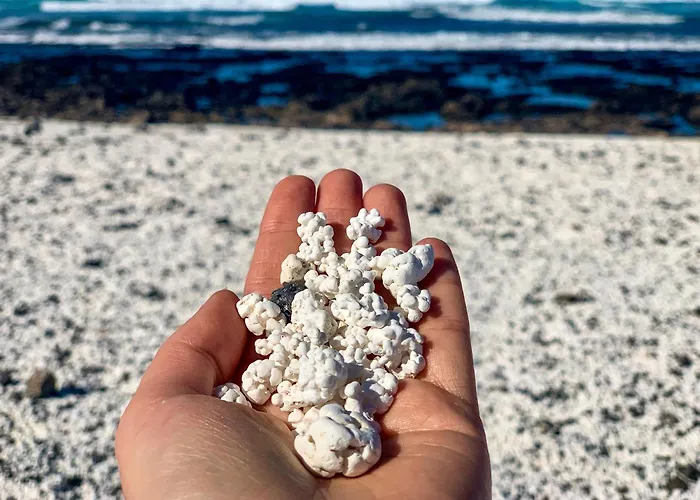 公寓 El With Two Bedrooms